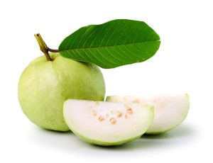 Peruvian White Guava Tree - White Guava Plant